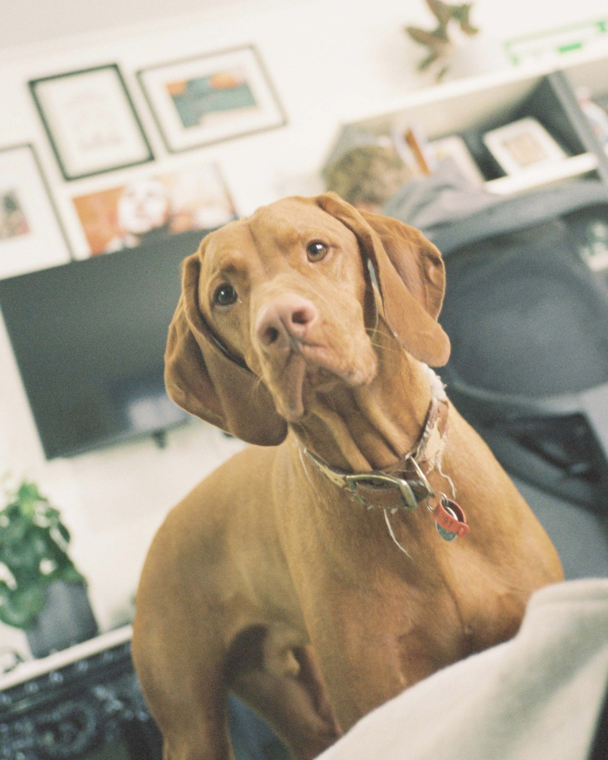 BEHIND THE SCENES 006 - Iso Diaries