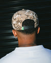 Capital Snapback Hat - Sahara